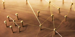 Firmamos la declaración conjunta para instar a la Comisión IMCO a defender los derechos fundamentales en el DSA [EN]