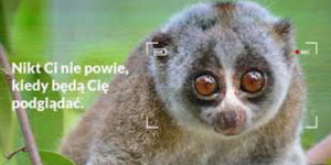 Firmamos el comunicado promovido por Panoptykon para no ser clientes cautivos de empresas que amplifican información tóxica