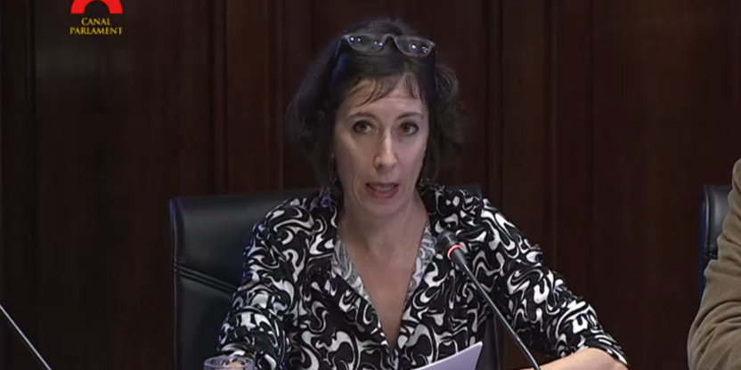 Intervención en la comisión para el estudio de medidas de lucha contra la corrupción y para la regeneración democrática