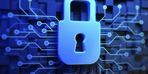 Para una democracia real, nos oponemos al acceso vigilado a la información institucional