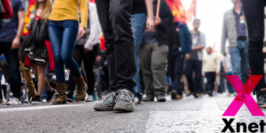 Respuesta de Xnet a la consulta pública de la Generalitat sobre la elaboración del proyecto de decreto STEAM y Humanidades